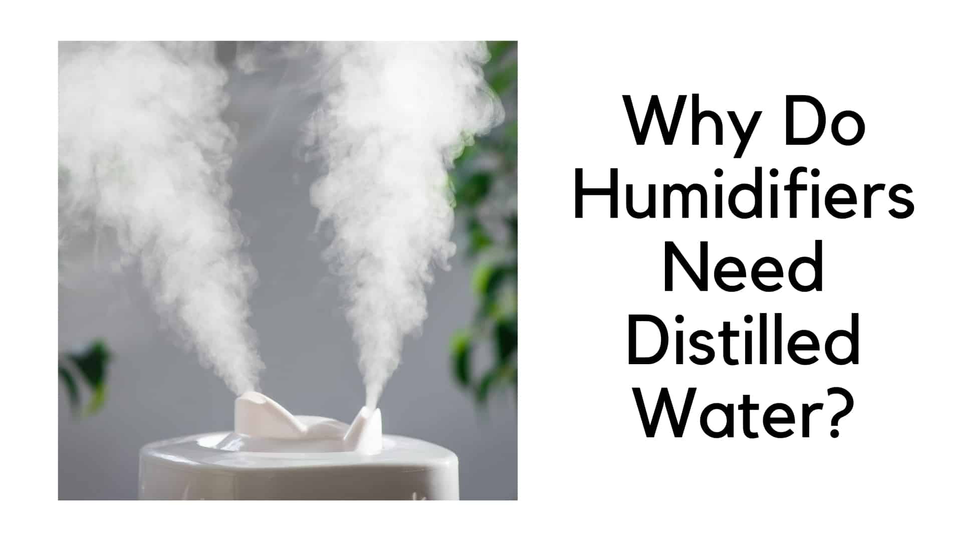 Why Do Humidifiers Need Distilled Water? HVAC BOSS
