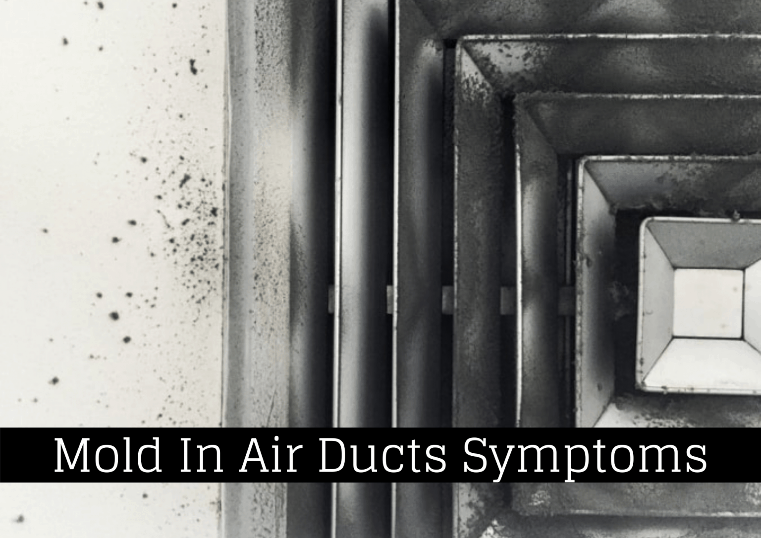 Mold in Air Ducts Symptoms HVAC BOSS