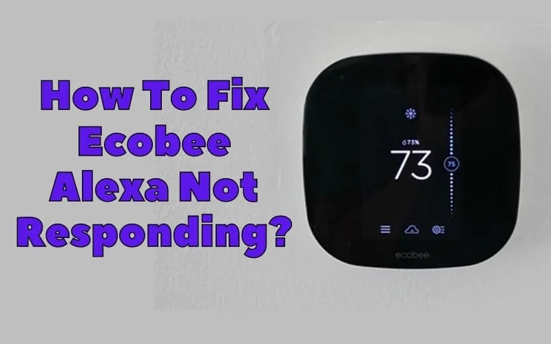 How To Fix Ecobee Alexa Not Responding